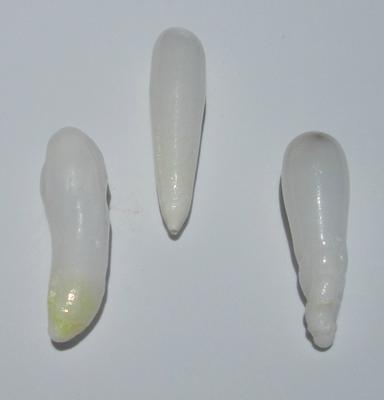 14+ Carats Long Drop Clam Pearl Set of Three for Sale