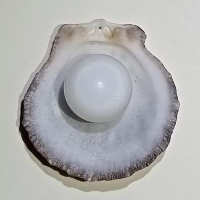14+ ct White with Flame Clam Pearl Egg for Sale