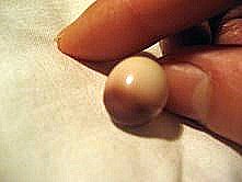 14.5 Carat Quahog Pearl