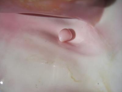 12.07 carat Light Pink Conch Pearl