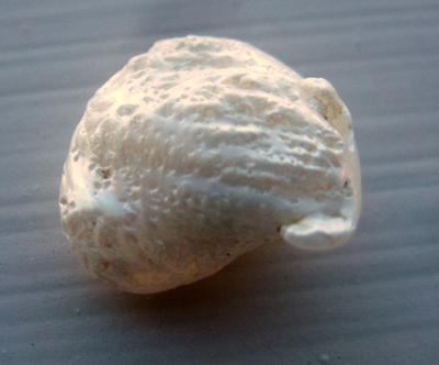 14mm Natural USA Freshwater Pearl