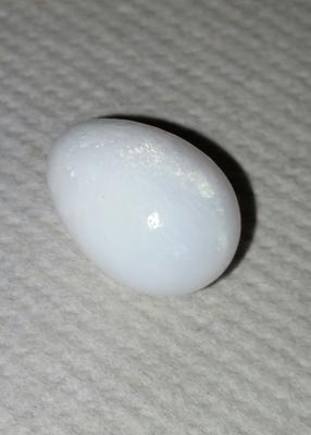 15.6ct clam pearl drop shape with flame