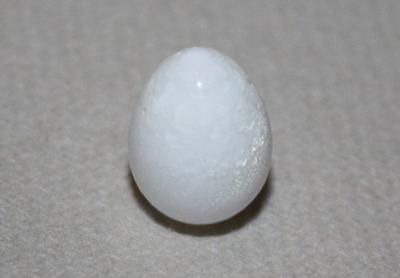 15.6ct clam pearl drop shape with flame