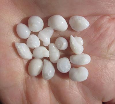 16 Clam Pearls 49 carats Total Baroque Shape for Sale