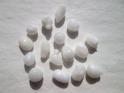 16 Clam Pearls 49 carats Total Baroque Shape for Sale