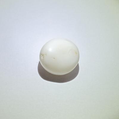 16+ ct Baroque Clam Pearl