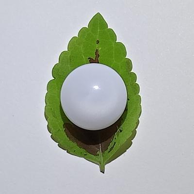 16+ ct Magnificent Clam Pearl Button 