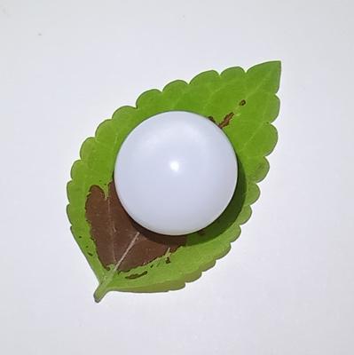 16+ ct Magnificent Clam Pearl Button 