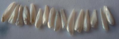 16 Spike Natural USA Pearls