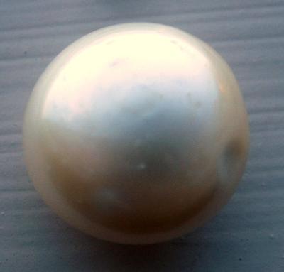17 carat Natural USA Freshwater Pearl