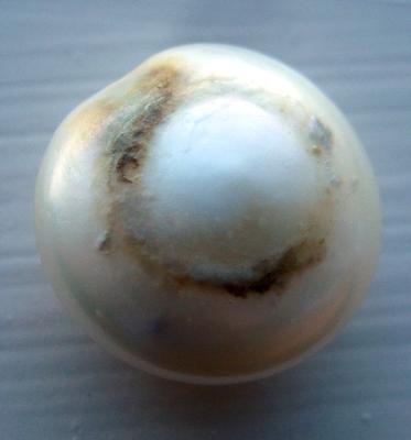 17 carat Natural USA Freshwater Pearl