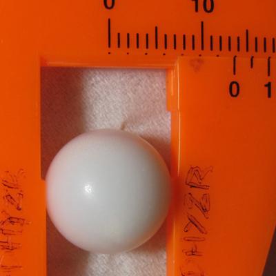 18.2 carats Round Clam Pearl