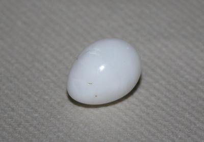 18.8ct Drop Clam Pearl