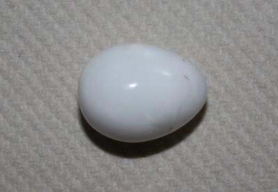18.8ct Drop Clam Pearl