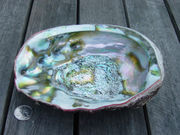 Abalone Inside