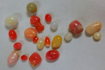 19 Conch Pearls Various Colors & Sizes