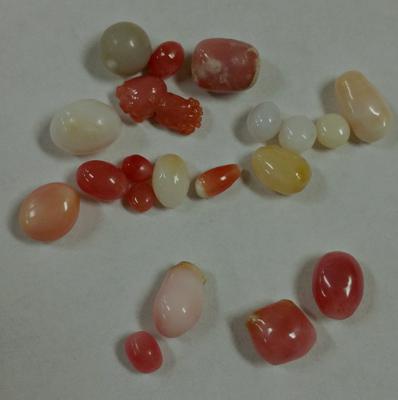 19 Conch Pearls Various Colors & Sizes