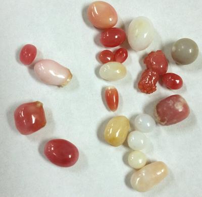 19 Conch Pearls Various Colors & Sizes