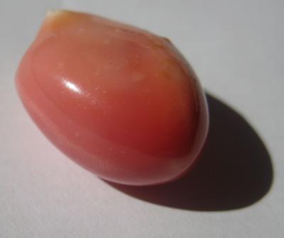 20.92 carats 19mm Pink Conch Pearl
