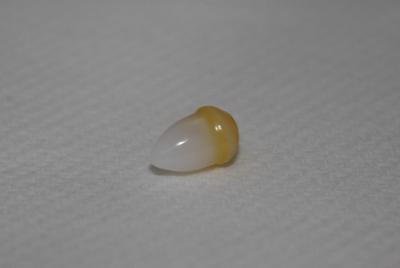 2.2 carat Clam Pearl