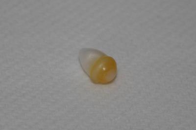 2.2 carat Clam Pearl
