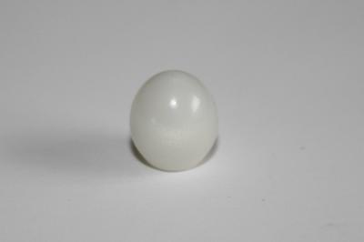 2.6 carat clam pearl egg shaped