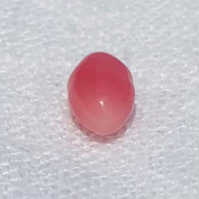 2 carat Conch Pearl Bright Pink Oval for Sale