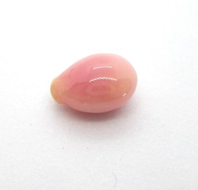 conch pearl