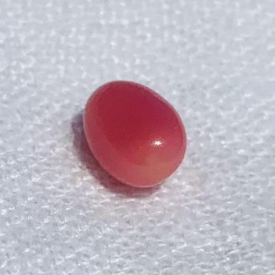 2.57ct perfect oval conch pearl