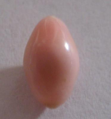 2.6 carats Light Pink Conch Pearl
