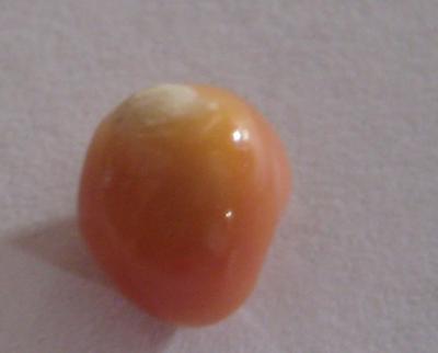 2.1 carats Orange/Pink Baroque Conch Pearl