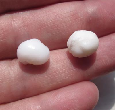 2 Clam Pearls Baroque 14 carats Total 11mm