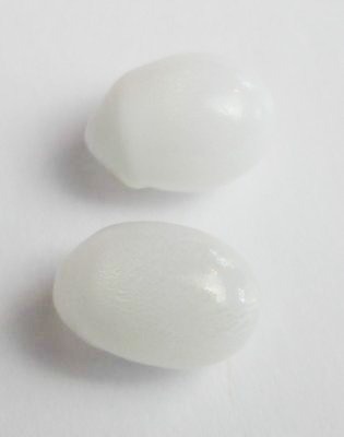 2 Clam Pearls with Flame for Sale 11mm
