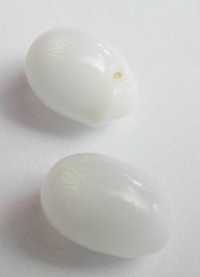 2 Clam Pearls with Flame for Sale 11mm