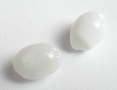 Natural Clam Pearl