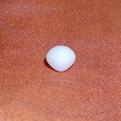 2 ct Clam Pearl with Flame for Sale
