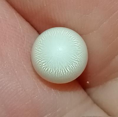 2+ ct Clam Pearl with Strong Flame 