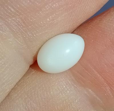  Pearl