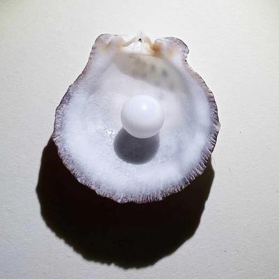 2+ ct Round Clam Pearl with Flame for Sale
