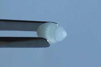 2.0ct clam pearl with strong flame