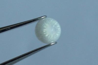 2.0ct clam pearl with strong flame