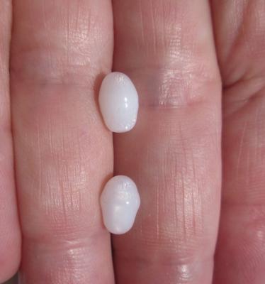 2 Flame Filled Clam Pearls 4+ carats - Total 8mm