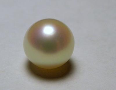 2 Gem Quality Natural Pearls Found in One Shell