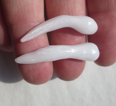 2 Long Drop Clam Pearls 20-33mm for Sale