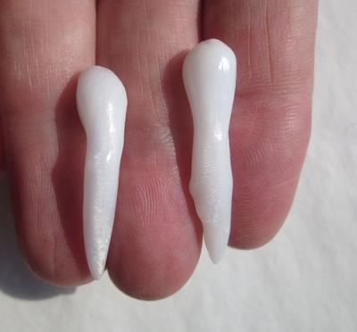 2 Long Drop Clam Pearls 20-33mm for Sale