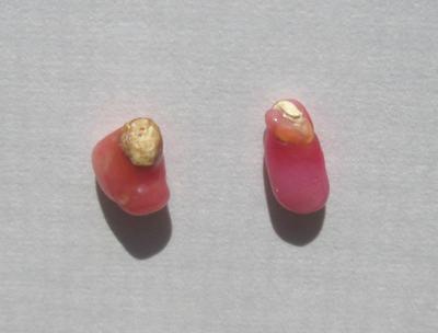 2 Pink Conch Pearls