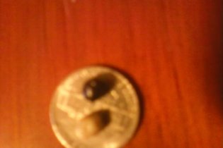 White and Black quahog Pearl