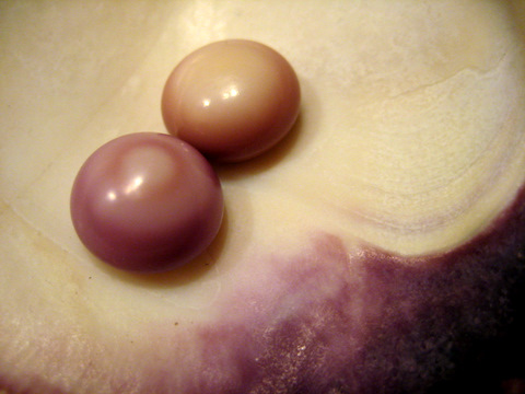 2 Quahog Pearls
