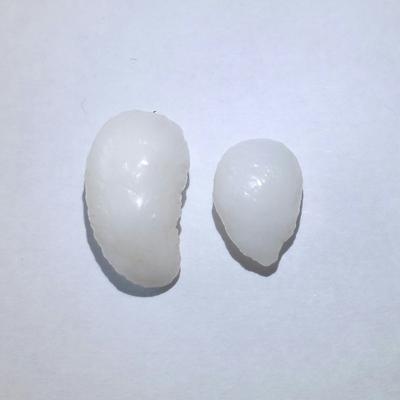 2 White Baroque Clam Pearls 12+ ct