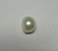 Saltwater natural Pearl Saltwater natural Pearl